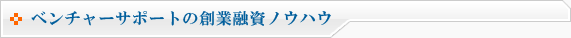 ベンチャーサポートの創業融資ノウハウ(資金調達) ベンチャーサポートの創業融資ノウハウ(資金調達)